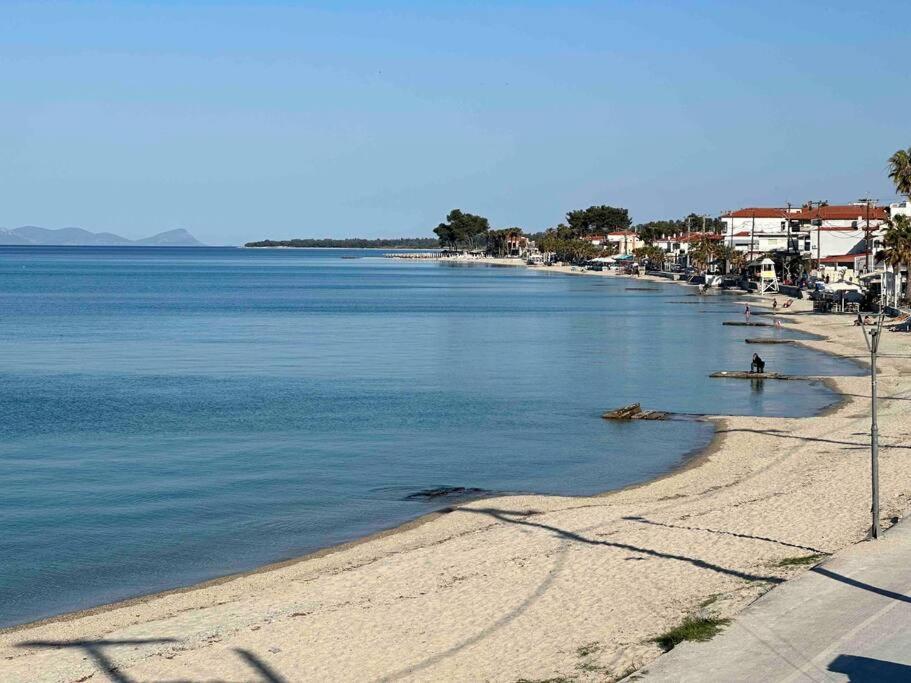 Anemomylos By The Sea Pefkochori Exterior foto